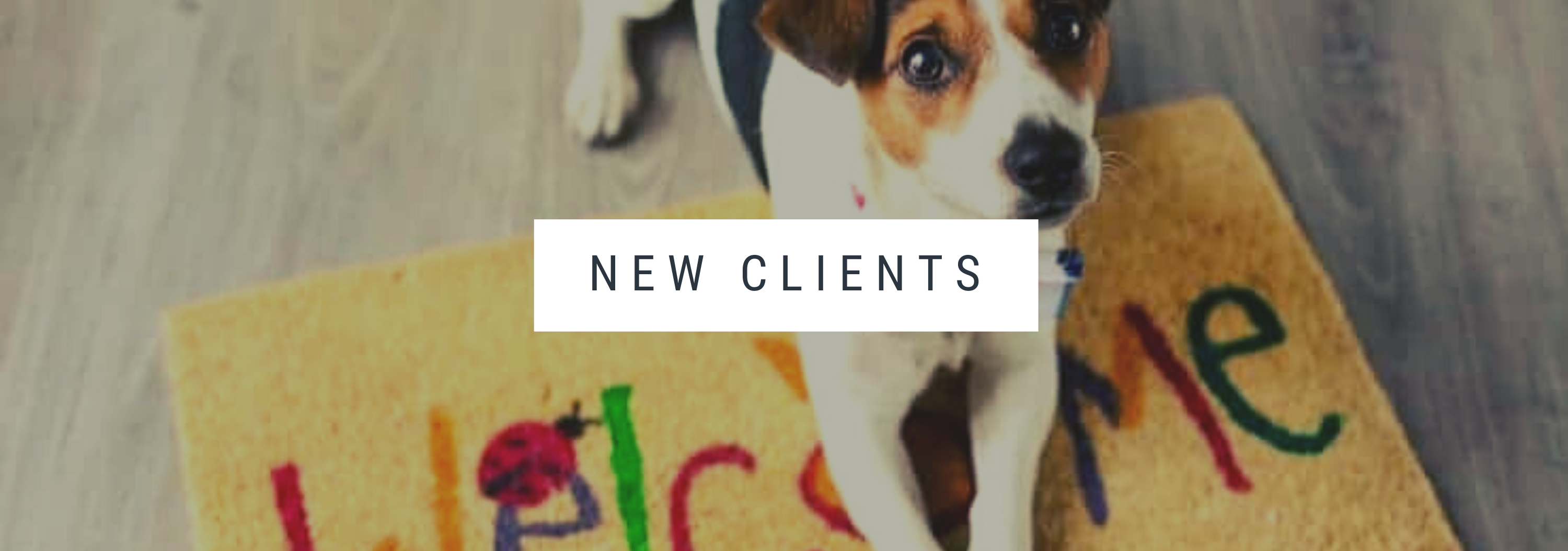 new clients